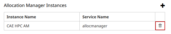 Delete Allocation Manager Instance