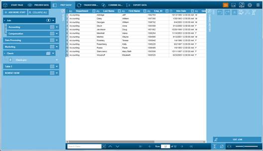 Data Prep Studio Help - The Prep Data Window